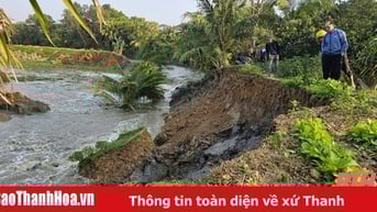 Khẩn trương khắc phục sự cố sạt, lở bờ kênh sông Mơ