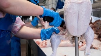 Ăn phần nào của thịt gà là tốt nhất cho sức khỏe?
