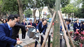 호안끼엠 구는 나무를 심고 환경을 보호하는 데 관심을 갖고 있습니다.