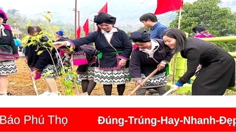 Phát động Tết trồng cây “Tuổi trẻ Đất Tổ đời đời nhớ ơn Bác Hồ” Xuân Ất Tỵ 2025