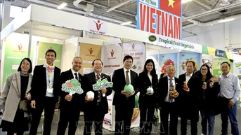 Việt Nam tham gia Fruit Logistica 2025 tại Đức với quy mô lớn nhất từ trước đến nay