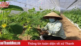 Ứng dụng KH&CN trong phát triển kinh tế nông nghiệp ở khu vực miền núi
