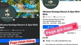 Khách du lịch bị lừa hơn 1 tỉ đồng khi đặt phòng trên mạng