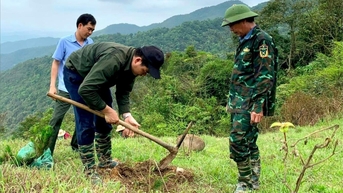 Hải Dương đẩy mạnh trồng rừng thay thế
