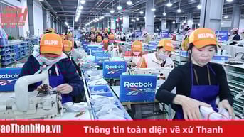 Hiệu quả hoạt động của doanh nghiệp FDI