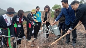 Tích cực trồng rừng đầu xuân