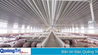 Hơn 275 tỉ đồng đầu tư dự án trang trại chăn nuôi lợn tại xã Cam Tuyền