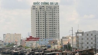 Lợi nhuận tăng vọt, cổ phiếu QCG tăng kịch trần ngay sau tết Nguyên Đán