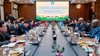 Chuyển đổi tư duy là then chốt cho nông nghiệp Việt Nam