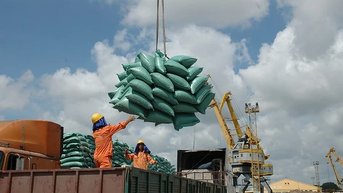Mở rộng thị trường, giữ vững tăng trưởng xuất khẩu gạo