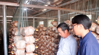 Núi Thành gỡ khó cho kinh tế hợp tác