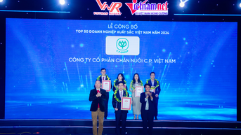 C.P. Việt Nam: Top 10 uy tín, Top 50 xuất sắc năm 2024