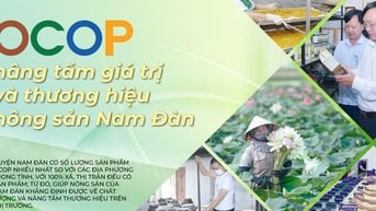 OCOP nâng tầm giá trị và thương hiệu nông sản Nam Đàn