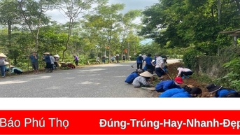 Xuân mới Phú Nham
