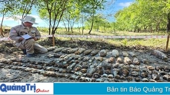 Nhiều chương trình, dự án nhận tài trợ từ Chính phủ Hoa Kỳ tại Quảng Trị phải tạm dừng hoạt động