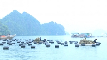 Ngư dân hối hả vươn khơi sau Tết