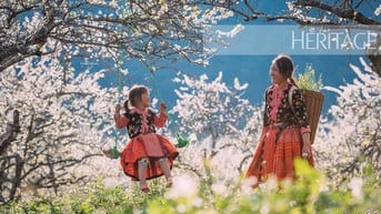 Sắc xuân khắp nẻo vùng cao
