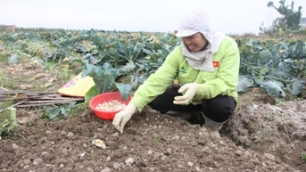 Sôi nổi khí thế lao động, sản xuất đầu năm  