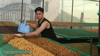 Dự báo giá cà phê ngày mai 9/2/2025 không sôi động