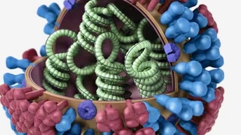 Bộ Y tế thông tin mới nhất về virus gây bệnh cúm tại Việt Nam