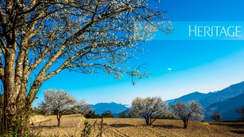 នៅពេលនិទាឃរដូវប៉ះផែនដីនិងមេឃ