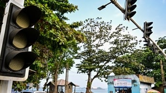 Cả nước Sri Lanka mất điện chỉ vì một con khỉ