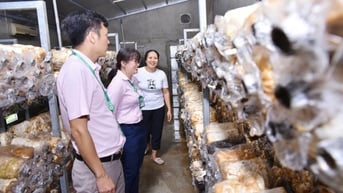 Quảng Nam nâng cao hiệu quả tín dụng chính sách trong giai đoạn mới