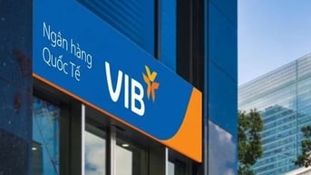 Chứng khoán ACB 'ôm' gần 30 triệu cổ phiếu ngân hàng VIB