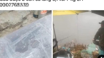 Bất ngờ với “lời trần tình” của nhân vật chính!