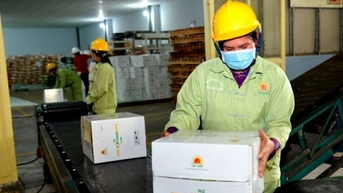 Khoác ‘áo mới’ cho hạt gạo Việt