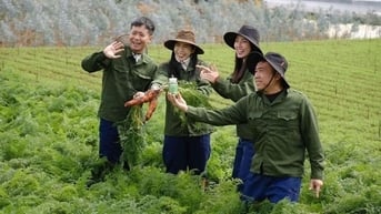 Có thể truy cứu trách nhiệm hình sự?
