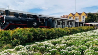 Giảm giá vé tàu cổ Đà Lạt tới 40%
