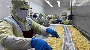 Xuất khẩu thủy sản đạt hơn 1,4 tỷ USD trong 2 tháng