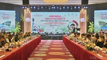 Kết nối, nâng tầm cà phê Việt