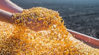 Thủ tướng yêu cầu rà soát sắc thuế đang áp dụng với Mỹ và các nước