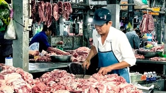 Việt Nam chi gần 10.000 tỉ đồng nhập khẩu thịt chỉ trong một tháng