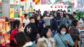 Một doanh nghiệp bán lẻ muốn mở 3 cửa hàng mỗi ngày