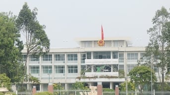 Cần Thơ nêu lý do gần 1.200 cán bộ công chức, viên chức nghỉ việc