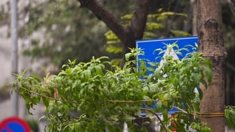 Hà Nội thay thế, sửa chữa gần 3.000 biển báo, đèn giao thông
