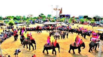 ពិធីបុណ្យដំរី Buon Don ទាក់ទាញភ្ញៀវទេសចរ