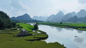 Khi thiên nhiên tươi đẹp bước vào phim