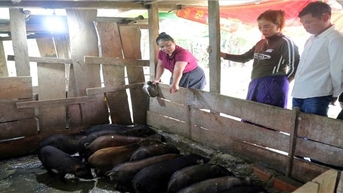 Phát triển kinh tế hộ ở vùng DTTS: “Đảng viên đi trước, làng nước theo sau”