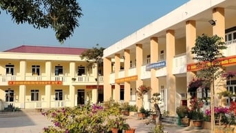 Đình chỉ nữ giáo viên tự ý cắt tóc học sinh trong lớp học
