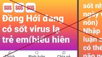 Xác minh thông tin 'virus lạ gây sốt'