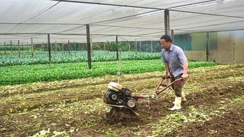 Giáo dân Quang Kim đoàn kết xây dựng bản làng phát triển
