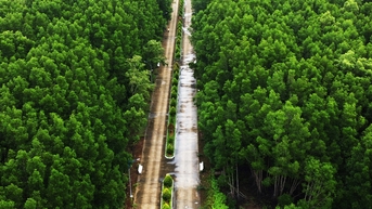 Cà Mau khởi động dự án tín chỉ carbon xanh