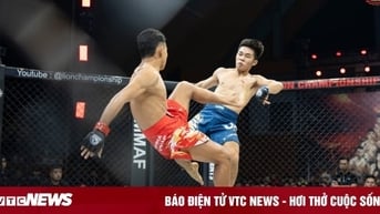 Xác định lịch thi đấu mùa giải MMA LION Championship 2025
