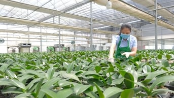 Hà Nội sẽ có Trung tâm nông nghiệp ứng dụng công nghệ cao
