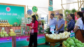 Hơn 8 tỉ đồng đầu tư cho chương trình OCOP Đồng Tháp