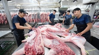 Giá thịt heo tăng nóng, giá thịt gà rớt thảm